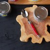 Lagulore ABS Handle, Teaspoon, Made in France, NERON Rouge