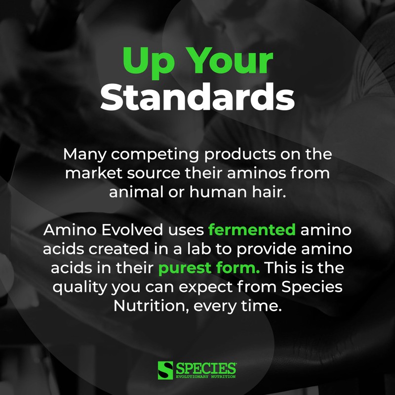 Species Nutrition Amino Evolved EAA & BCAA Powder, Fermented Branched