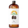 Sun Essential Oils 16oz Pine Essential Oil for Aromatherapy &