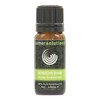 Benzoin 100% Pure Essential Aromatherapy Oil 10ml