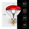 KOR 250W R40 Red Incandescent Heat Lamp Bulbs, E26 Medium