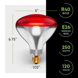 KOR 250W R40 Red Incandescent Heat Lamp Bulbs, E26 Medium Base, 2-Pack