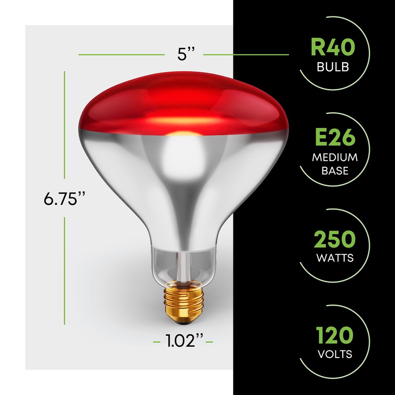 KOR 250W R40 Red Incandescent Heat Lamp Bulbs, E26 Medium