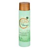U R Curly Soya Shampoo, 10 Ounce