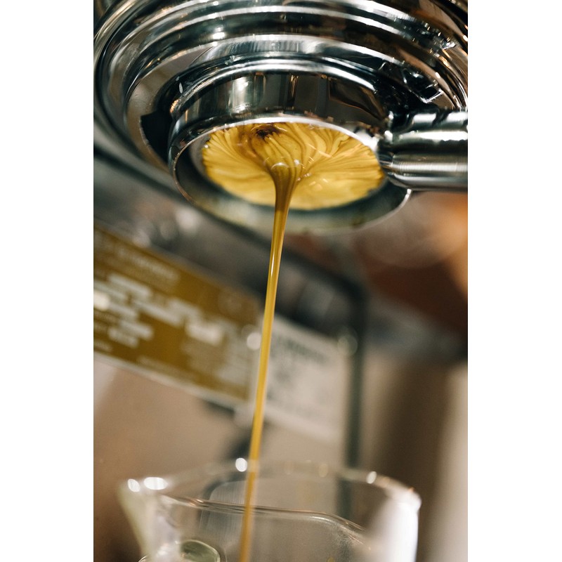TOKYO COFFEE Organic Coffee Beans Trial Set, JAS Certified (Blend,