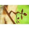 Bornhöft Garden Stake Tree Stake Metal Rusty Garden Decoration Patina