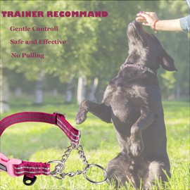 Petiry Half Chain Choke Collar Reflective Nylon Choke Collar with Safety Quick Release Buckle,Escape-proof Anti-pull for Large Dogs Neck 44-56cm(Hotpink,Large)