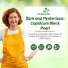 Outsidepride 30 Seeds Annual Capsicum Ornamental Pepper Black Pearl Seeds