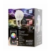 Vibe E-ssential TikTok Vibe Color Changing Smart RGBW LED Bulb