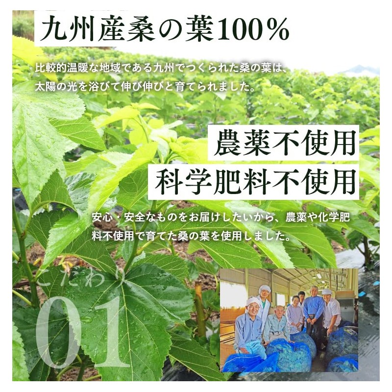 Mulberry Leaf Tea Powder, 3.5 oz (100 g)