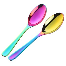 Bisda 2-Piece Stainless Steel 18 10 Serving Spoon (Rainbow)
