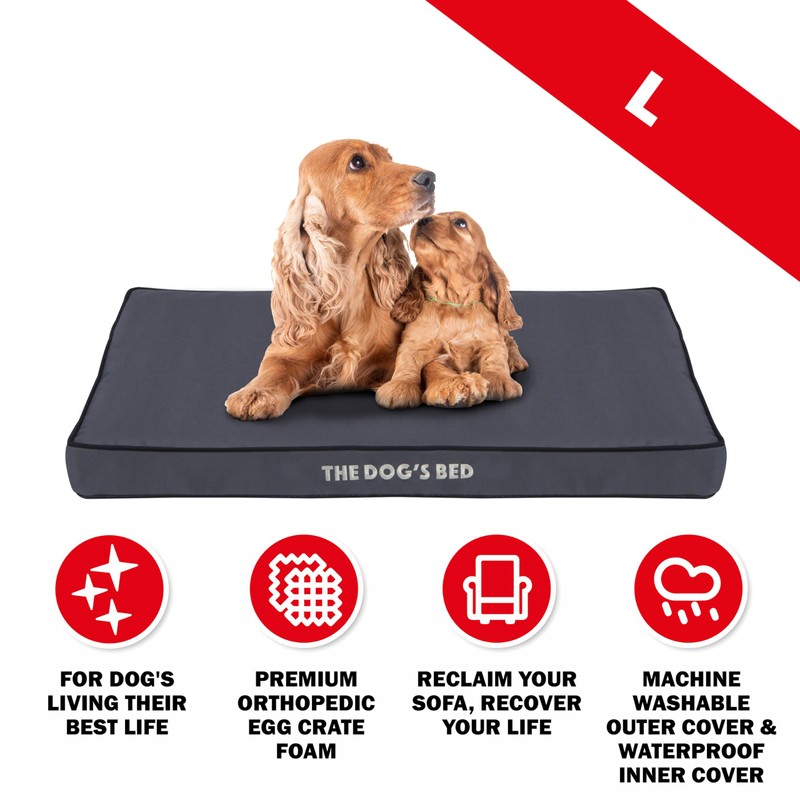 The Dog’s Bed Orthopedic Standard Foam Dog Bed Mattress, Oxford