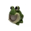 Merz67 LLC FROG Scrubby Ceramic Holder with Scrubbie Sponge Kitchen