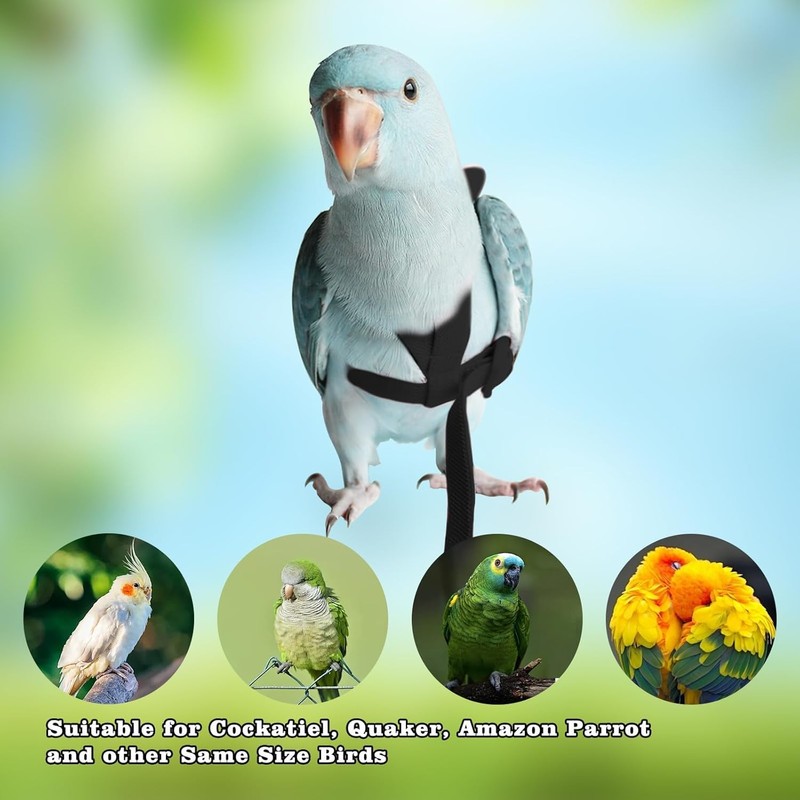 Parrot Harness and Leash Set,Bird Harness for Parrot,Pet Parrot Bird