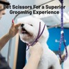 Professional Dog Grooming Scissors Pet Curved Thinning Scissors 8'' 440C