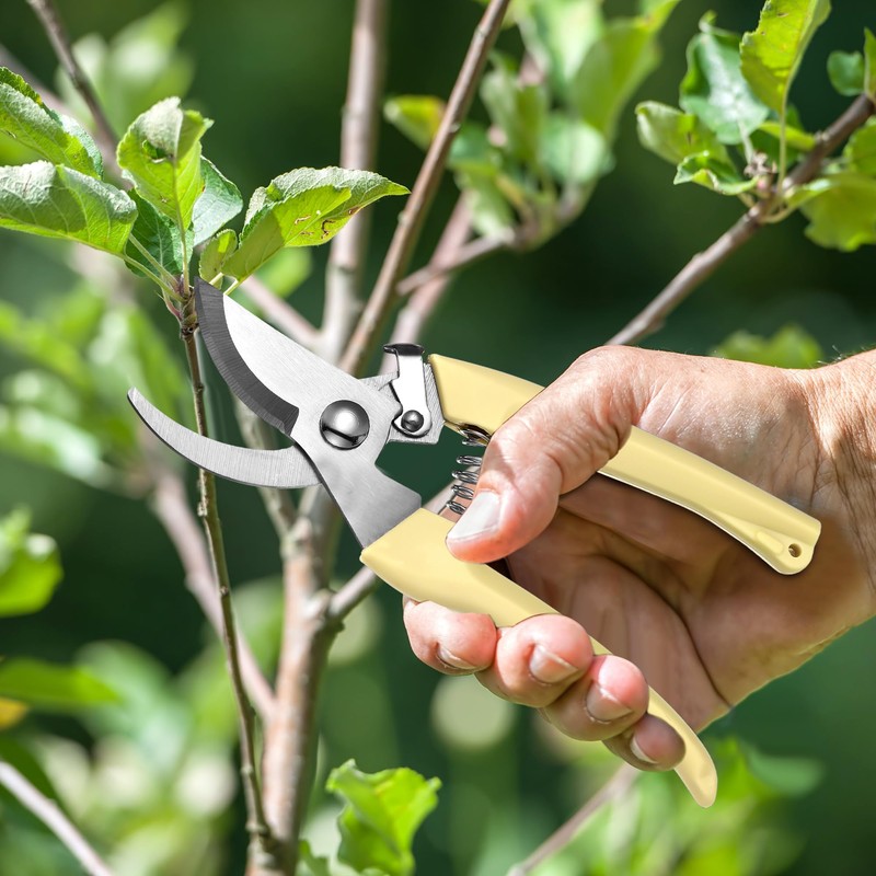 Chumia 6 Pcs Garden Flower Shears Pruning Scissors Heavy Duty