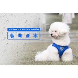 Pet's Playground Small Dog Harness | Dog Harness Small Dog | Puppy Dog Harness | Dog Harness For Puppies | Dog Harness For Small Dogs | Harness for Small Dogs UK | Extra Small Dog Harness | Blue | XS