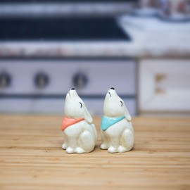 Boston Warehouse Desert Coyote Salt & Pepper Shakers, 2 piece set, Hand-painted ceramic