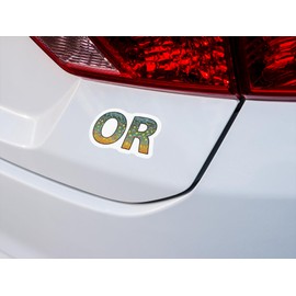 OR Oregon 4" Trout Fly Fishing Bumper Sticker Decal Set Waterproof Vinyl Great Gift for Angler Truck Boat Jeep Car Brown Trout Rainbow Trout Tiger Trout Brook Trout Cutthroat Trout