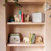 Sass & Belle Gigi Giraffe Wooden Bookends