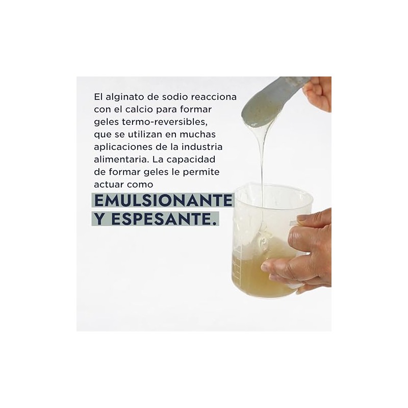 Hebbe - Alginato de Sodio, Gelificante y Espesante Natural para