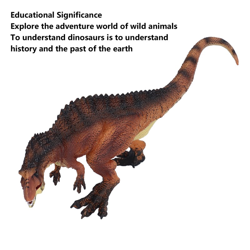 High Spinosaurus Model Realistic Safe Large Educational Dinosaur Toy for