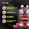 Creatine Gummies – 6000mg Creatine Monohydrate Gummies – 180 Gummies