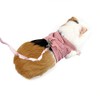 Guinea Pigs Vest Harness Adjustable Small Animals Traction Rope Chest