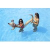 Swimline 90084 Doggy Doodle 72" X 5"