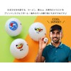 Illustrated Golf Balls 3-Pack (Ramen/Mt. Fuji/Sushi) SRIXON DISTANCE (Illustrated D