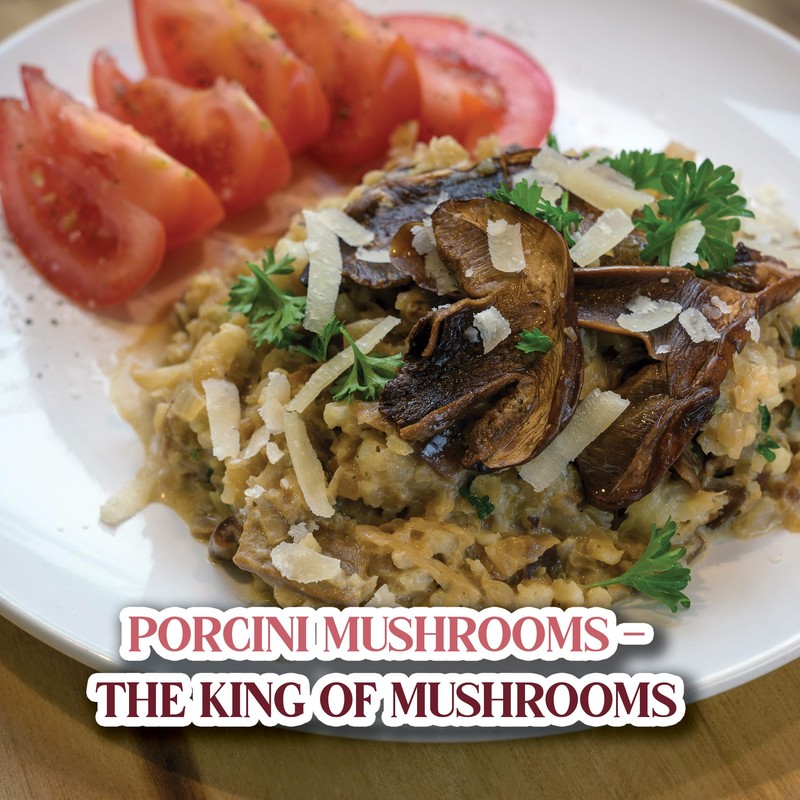 Gourmanity 3oz Dried Porcini Mushrooms, Extra Grade European Dried Mushrooms,