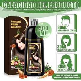 Shampoo para Canas, Hair Dye Shampoo 3 en 1 de Funciones de cuidado cabello, Shampoo con Tinte para Cubrir Canas con Cabello Extractos Jengibre Ginsen