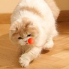 Cat Balls Toys for Indoor Cats, Cat Chew Ball Toys,