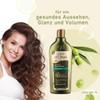 Dalan d'Olive Shampoo Volume 400 ml Pack of 2