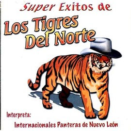 Super Exitos: Interpreta Internacionales Panteras