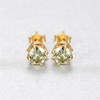 Bellitia Jewelry 925 Sterling Silver Gold-Plated Crown Stud Earrings with
