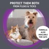 Frontline Plus Flea and Tick Treatment for Small Dogs Upto