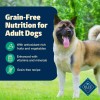 Blue Buffalo Freedom Grain Free Lamb Recipe Wet Dog Food