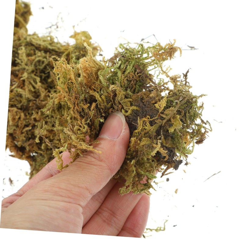 Operitacx Vivid Artificial Moss for DIY Moss Projects Decorative Terrarium