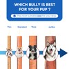 Elite Woof Bully Sticks for Dogs - 6 Inch Thin