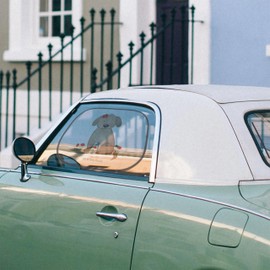 Mr. & Mrs. Panda Car Sun Protection Dog Lady Gift Dog Lady Sun Visor Woman Dog Happiness Sun Protection for Car Sun Protection Children