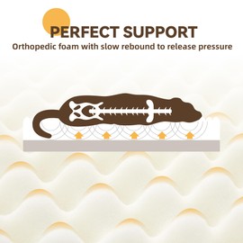 Orthopedic Dog Bed for Large Dogs, Egg-Crate Memory Foam Sofa with Sides, Cute Dog Bed and Couch with Washable Removable Cover and Non-Slip Bottom, L