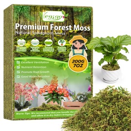 Legigo 7 OZ Real Green Moss for Crafts, 8 QT Natural Decorative Moss for Potted Plants Floral Terrarium Decoration, Dried Plant Moss for Artificial Fairy Gardens, Live Mosswall, DIY Craft Projects