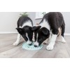TRIXIE Junior Licking Mat 8 in, Pet Slow Feeder, For