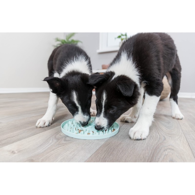 TRIXIE Junior Licking Mat 8 in, Pet Slow Feeder, For