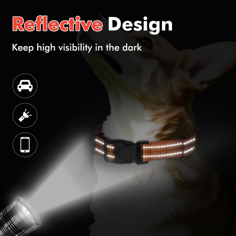 Erbine Neoprene Padded Martingale Collar for Dogs, Reflective Soft Nylon