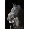 Cancun Bridle Black Pony