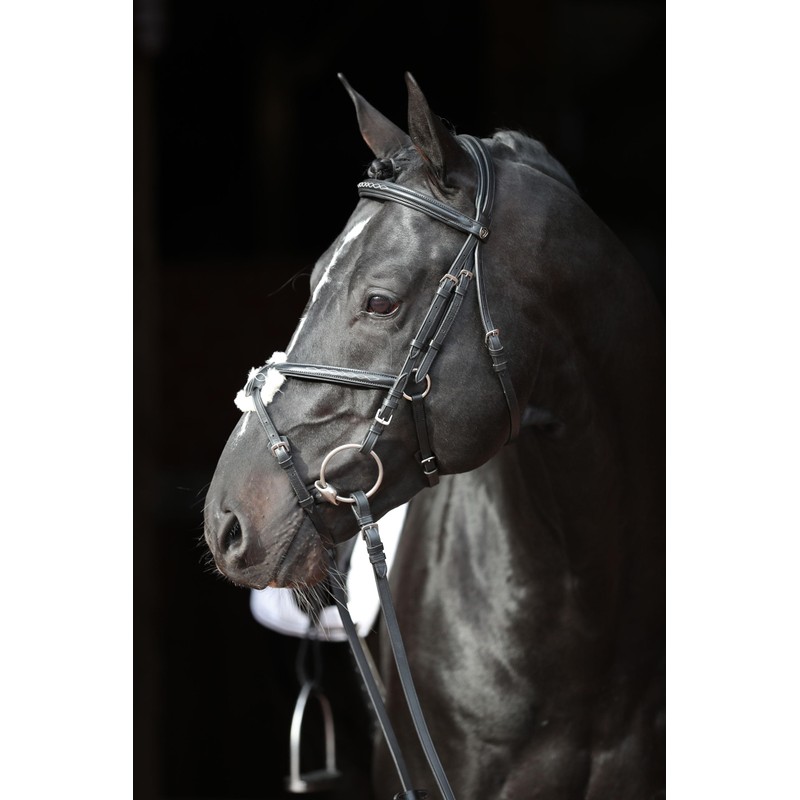 Cancun Bridle Black Pony