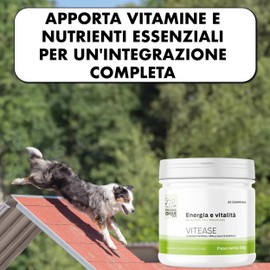 VITEASE Multivitamin-Nahrungsergänzungsmittel für Hunde und Katzen, Energie, Vitalität und allgemeines Wohlbefinden, unterstützt Vitamine und Mineralien, 60 Tabletten
