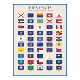 Wallbuddy 50 State Flags of the USA | US History Classroom Decorations | Modern Social Studies Educational Charts & Posters | Unframed State Posters USA Flag Wall Decor Updated Edition (12x16)